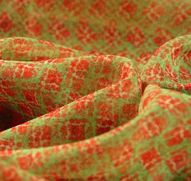 Žoržet jemný grafický design motýlci/květy velký