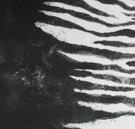 Šifon zvířecí motiv zebra černošedá