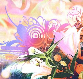 Satén motiv korálů a růží v zářivých barvách