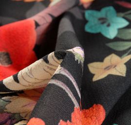 Žoržet šatový jemný květy a motýl na černém poli