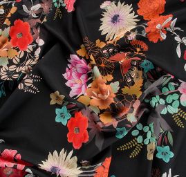 Žoržet šatový jemný květy a motýl na černém poli