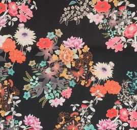 Žoržet šatový jemný květy a motýl na černém poli