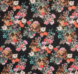 Žoržet šatový jemný květy a motýl na černém poli