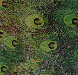 Šifon vzor paví pera digitální tisk zelená