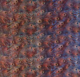 Šifon vzor paví pera digitální tisk hnědá