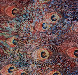 Šifon vzor paví pera digitální tisk hnědá