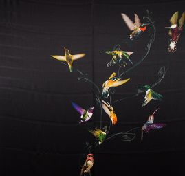 Hedvbáný atlas kupón ptáci