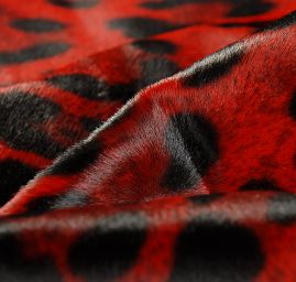 Pravá useň teletina tisk velké skvrny červená 