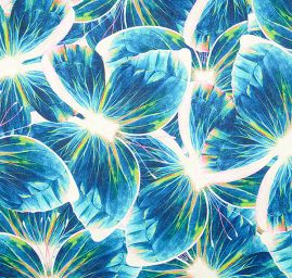 Atlas motiv motýl modrý