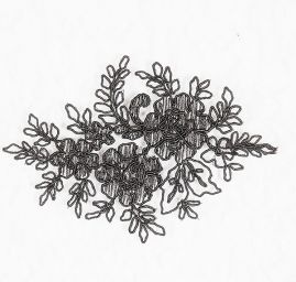 Efektní krajka výšivka na smetanové tylu černá