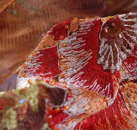 Efektní krajka vyšívaný tyl látka