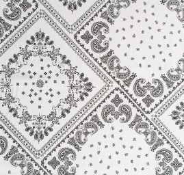 Viskozová šatová látka paisley vzor černá/bílá