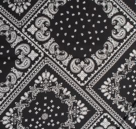 Viskozová šatová látka paisley vzor bílá/černá
