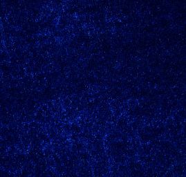 Samet pružný velvet lesk berlínská modrá