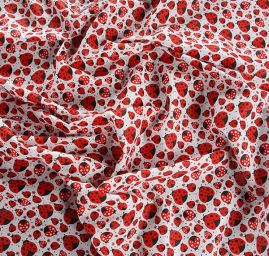 Bavlněné plátno vzor berušek na bílém podkladě