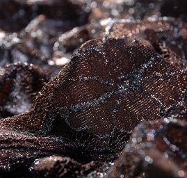 Efektní pružná krajka květy hnědá stříbrná výšivka