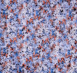 Exkluzivní látka motýlci