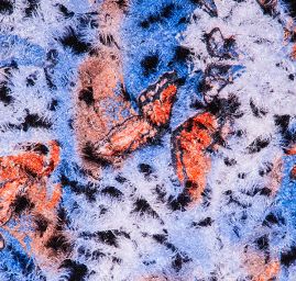 Exkluzivní látka motýlci