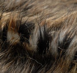 Imitace zvířecí srsti rys