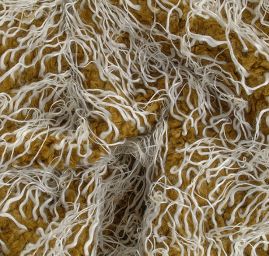 Imitace zvířecí srsti kašmírské kozy zelená/bílá