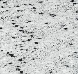 Kostýmová vlněná látka bukle Art Fabrics