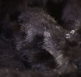 Pletenina s imitací kožešiny vzor kostky černá