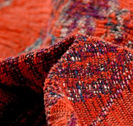 Exotic Birds Royal fialovomodrý