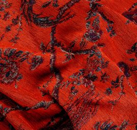 Exotic Birds Royal fialovomodrý