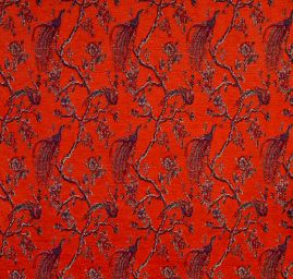 Exotic Birds Royal fialovomodrý