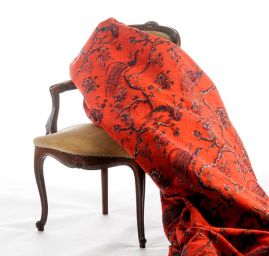 Exotic Birds Royal fialovomodrý