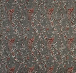 Exotic Birds Royal zelenošedý