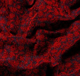 Replika historické látky Art Fabrics Rozálie červená