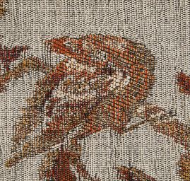 Exotic Birds Royal zlatočervená