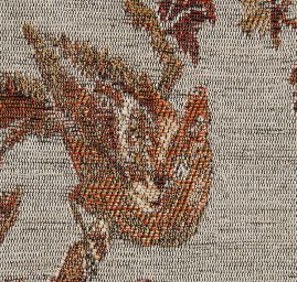 Exotic Birds Royal zlatočervená