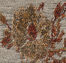 Exotic Birds Royal zlatočervená