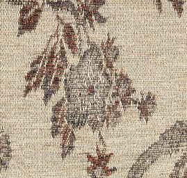 Exotic Birds Royal smetanový