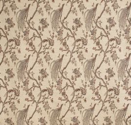 Exotic Birds Royal smetanový