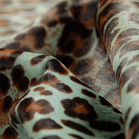 Pravá useň teletina tisk malé skvrny tyrkys